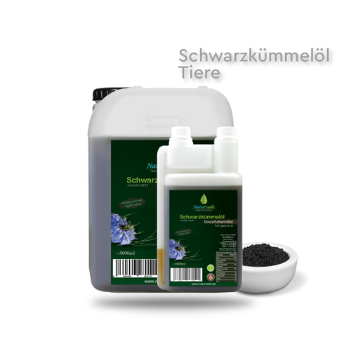 schwarzkuemmeloel fuer hunde